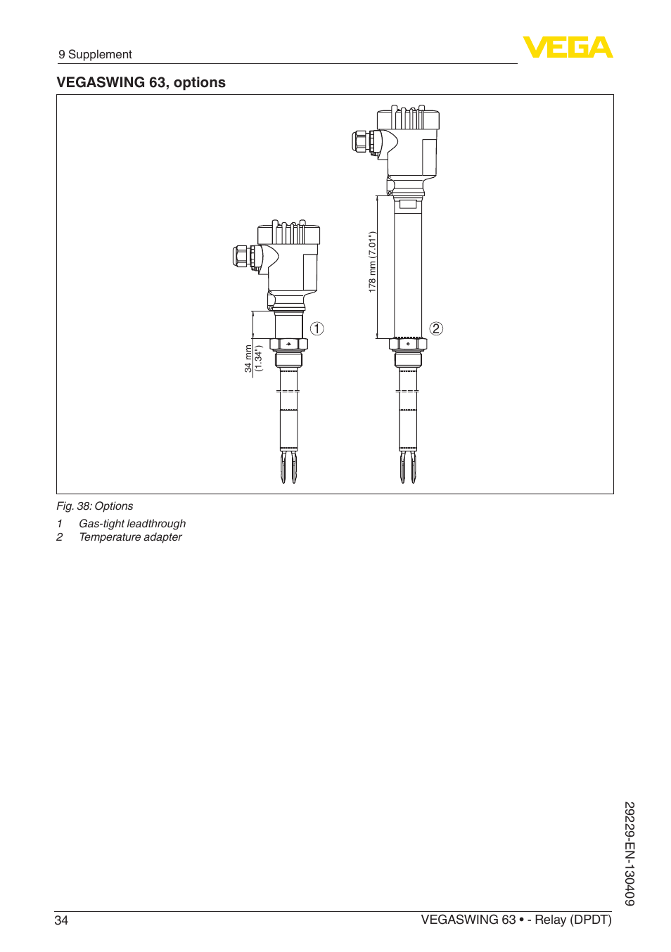 Vegaswing 63, options | VEGA VEGASWING 63 - Relay (DPDT) User Manual | Page 34 / 36
