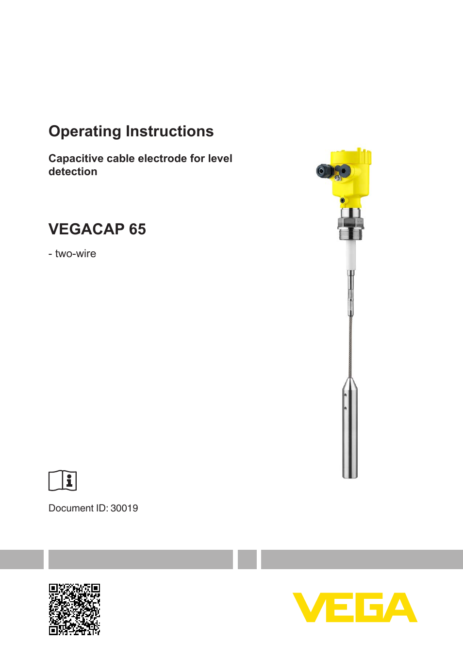 VEGA VEGACAP 65 - two-wire User Manual | 40 pages