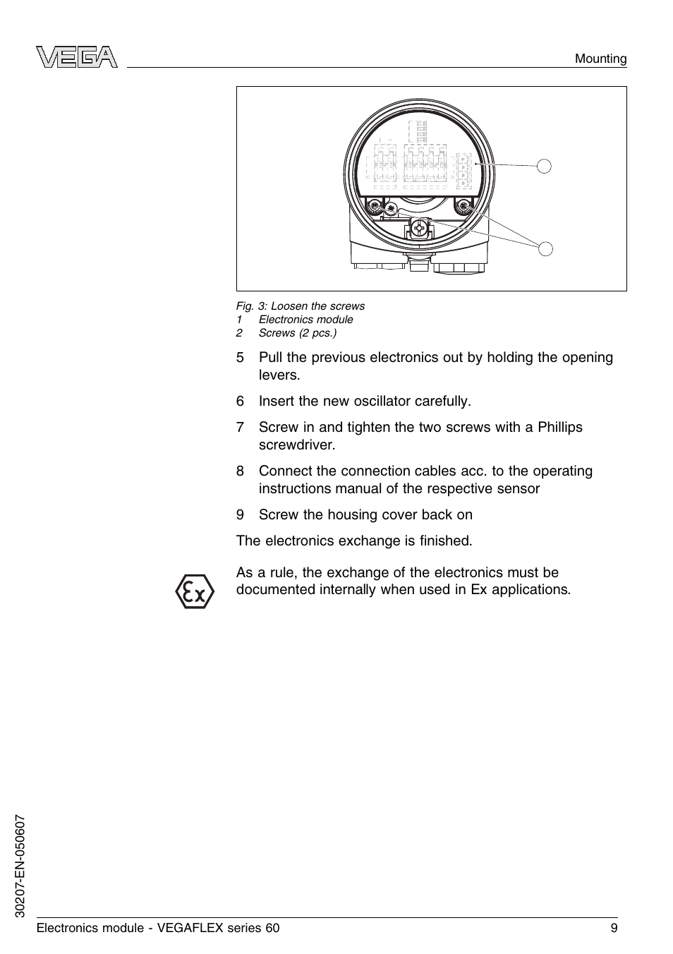 VEGA VEGAFLEX series 60 Electronics module User Manual | Page 9 / 16