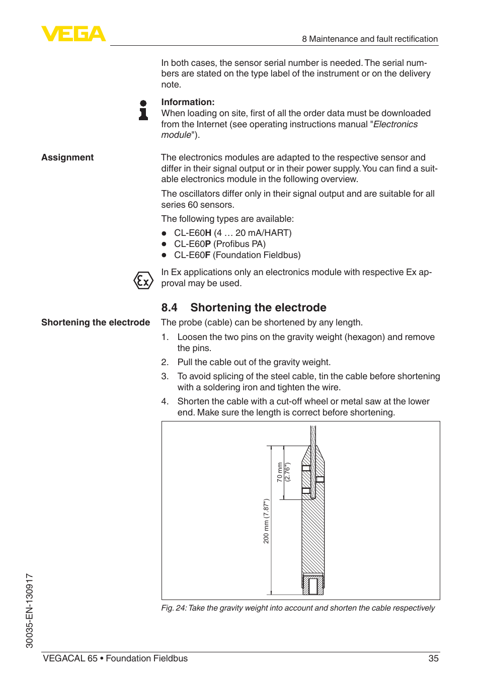 4 shortening the electrode | VEGA VEGACAL 65 Foundation Fieldbus User Manual | Page 35 / 52