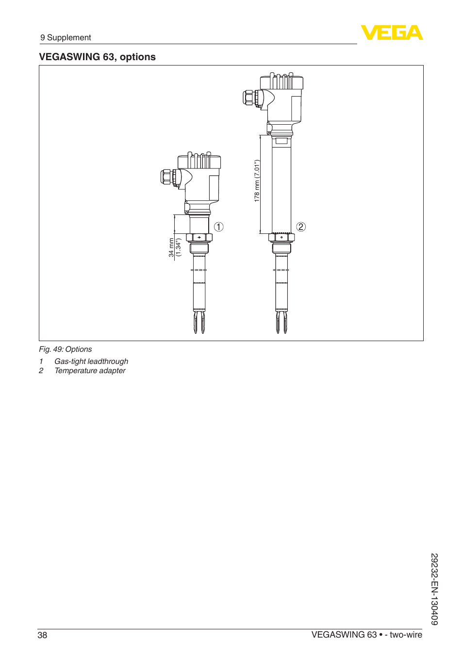 Vegaswing 63, options | VEGA VEGASWING 63 - two-wire User Manual | Page 38 / 40