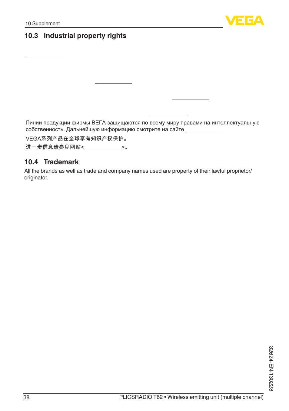 VEGA PLICSRADIO T62 Wireless emitting unit User Manual | Page 38 / 44