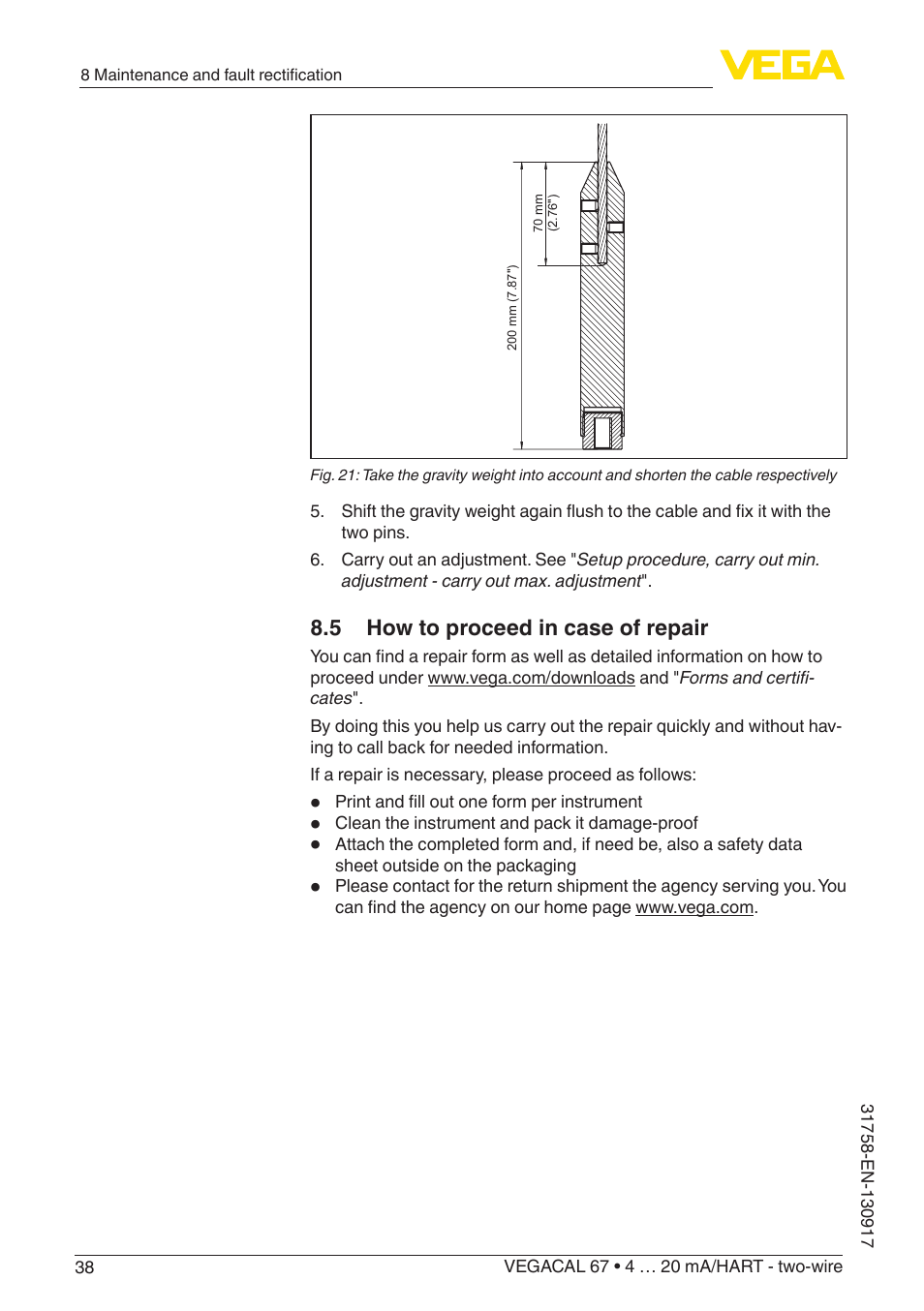 5 how to proceed in case of repair | VEGA VEGACAL 67 4 … 20 mA_HART - two-wire User Manual | Page 38 / 52