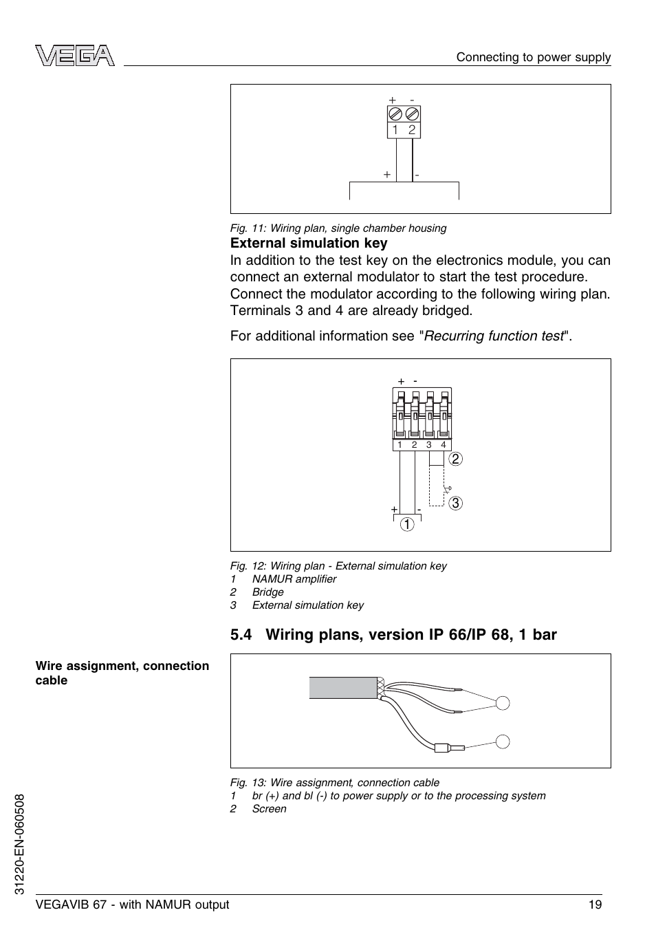 VEGA VEGAVIB 67 - NAMUR User Manual | Page 19 / 40