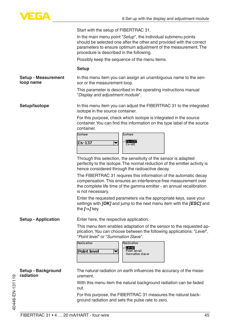 VEGA FIBERTRAC 31 4 … 20 mA_HART - four-wire User Manual | Page 45 / 80