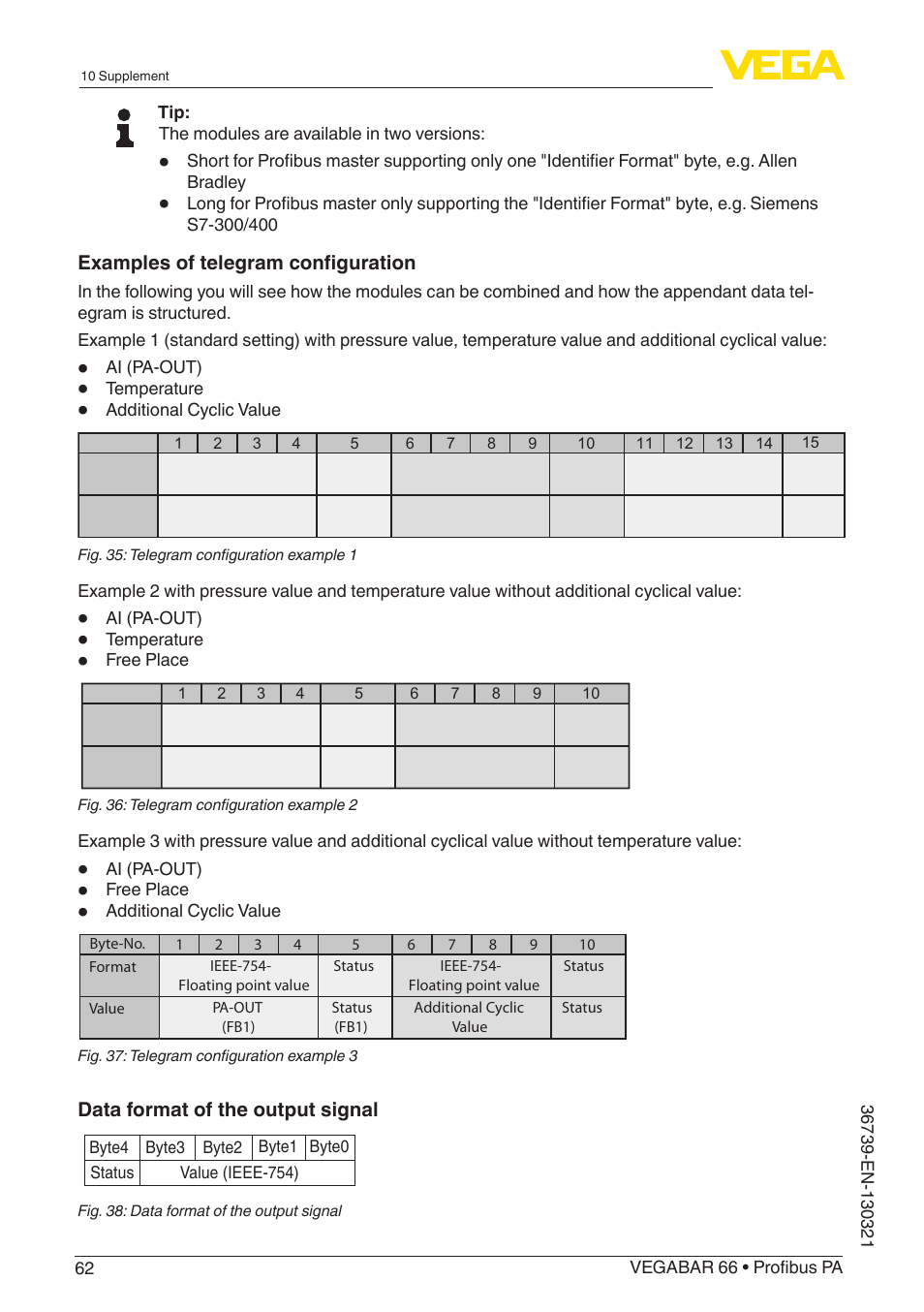 VEGA VEGABAR 66 Profibus PA User Manual | Page 62 / 76