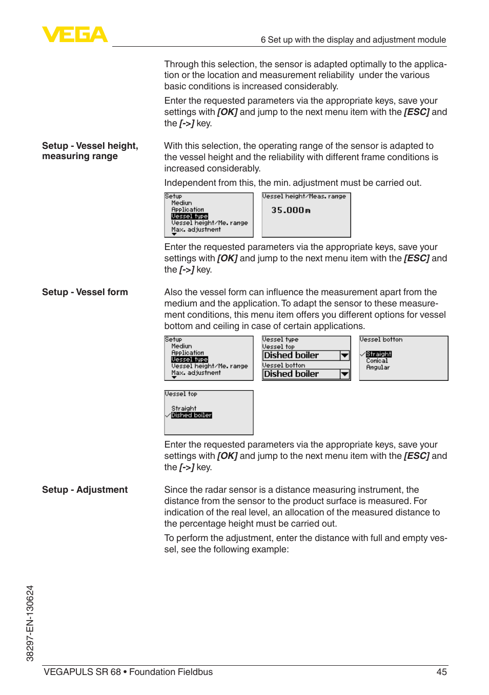 VEGA VEGAPULS SR 68 Foundation Fieldbus User Manual | Page 45 / 96
