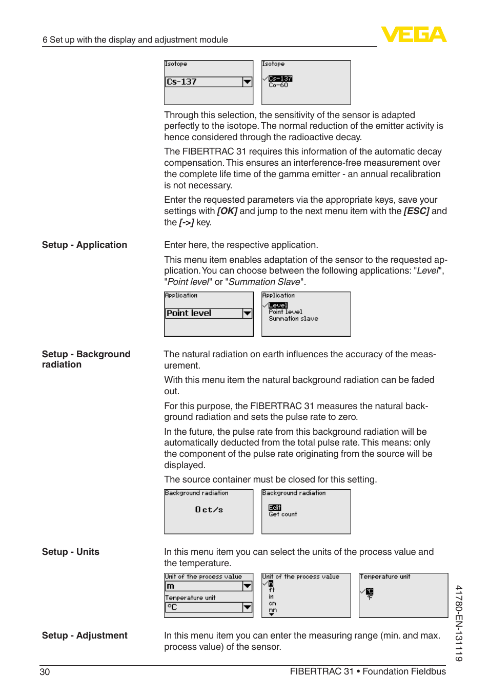 VEGA FIBERTRAC 31 Foundation Fieldbus User Manual | Page 30 / 80