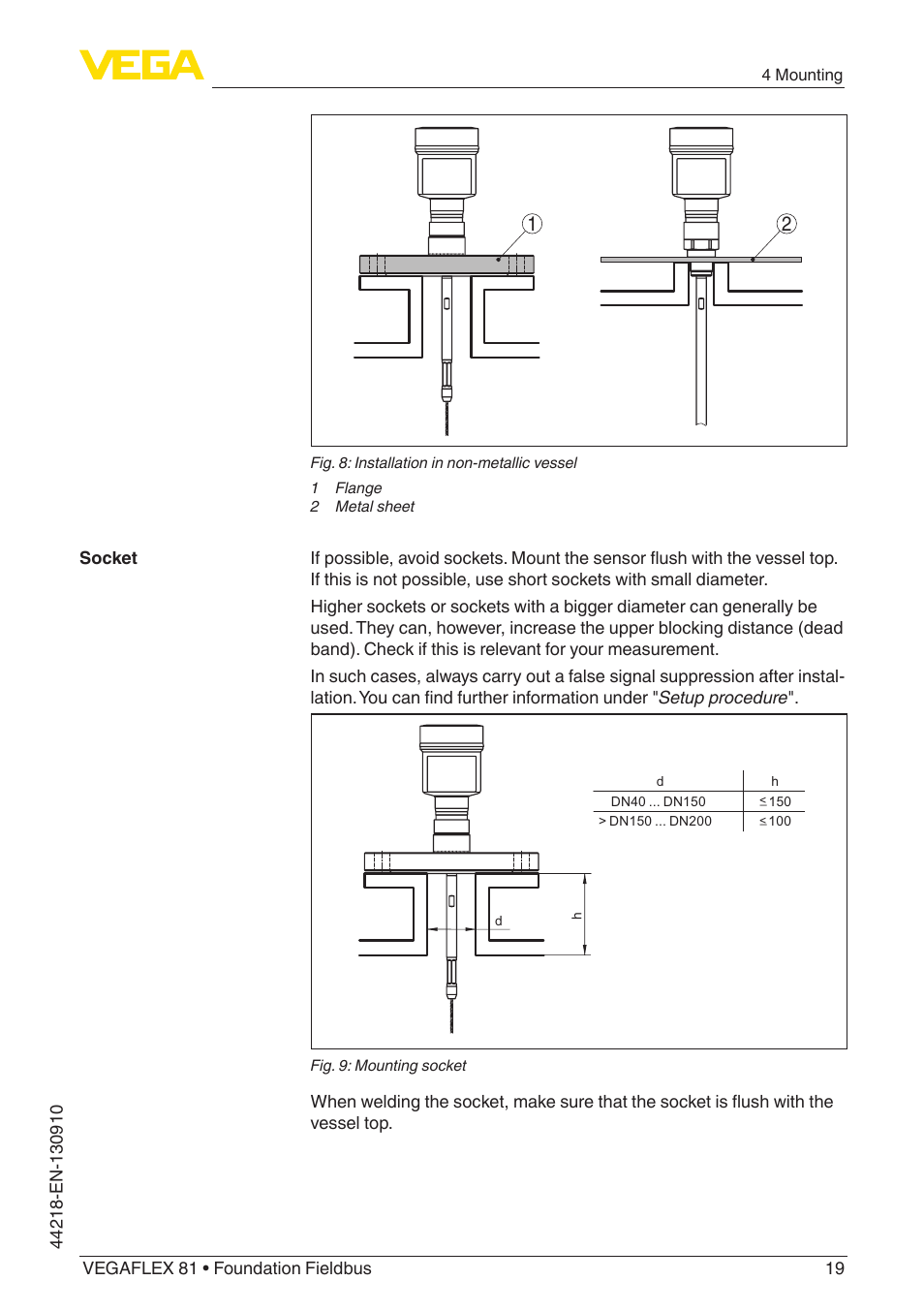 VEGA VEGAFLEX 81 Foundation Fieldbus User Manual | Page 19 / 108