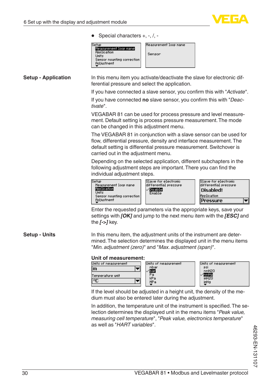VEGA VEGABAR 81 Modbus and Levelmaster protocol - Operating Instructions User Manual | Page 30 / 92