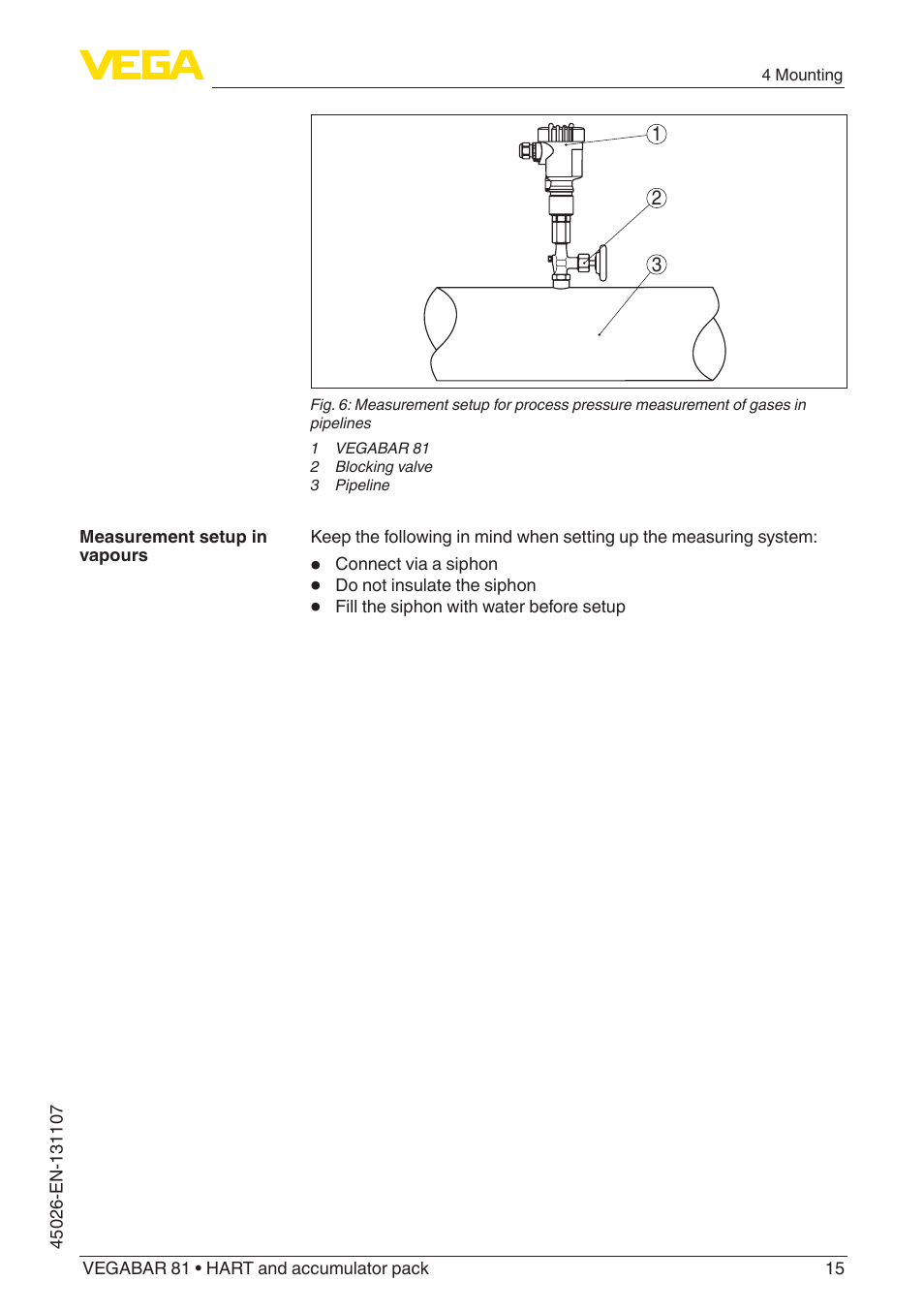 VEGA VEGABAR 81 HART and accumulator pack - Operating Instructions User Manual | Page 15 / 68