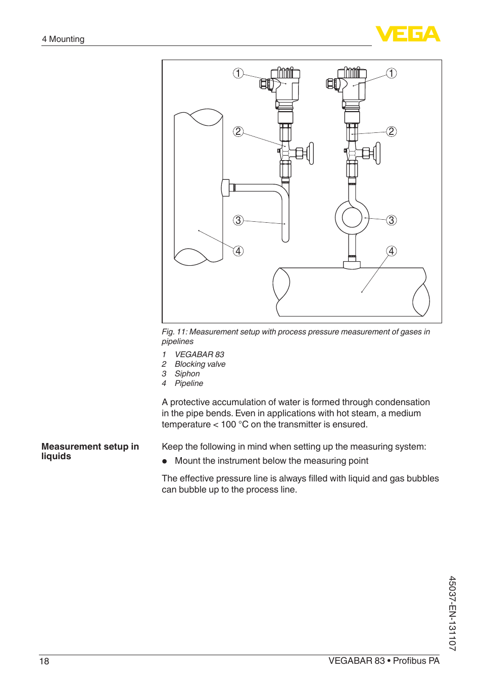 VEGA VEGABAR 83 Profibus PA - Operating Instructions User Manual | Page 18 / 88