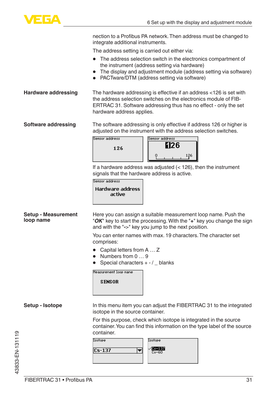 VEGA FIBERTRAC 31 Profibus PA User Manual | Page 31 / 88