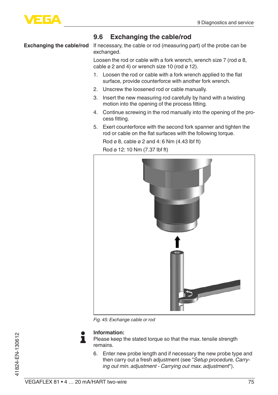 6 exchanging the cable/rod | VEGA VEGAFLEX 81 4 … 20 mA_HART two-wire User Manual | Page 75 / 100