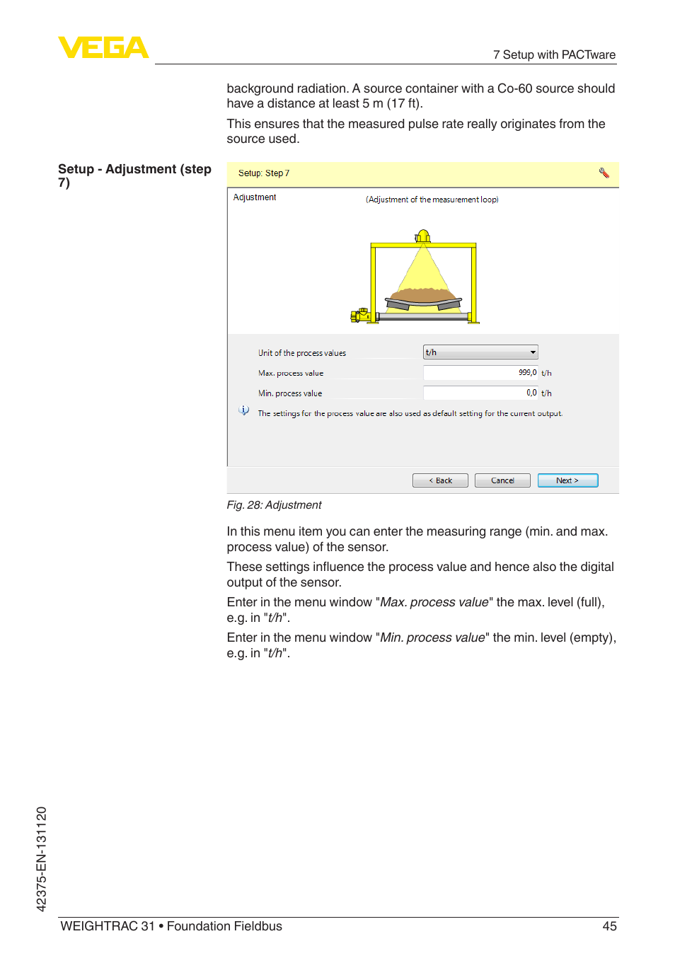 VEGA WEIGHTRAC 31 Foundation Fieldbus User Manual | Page 45 / 84