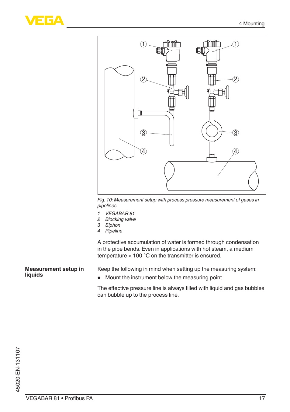 VEGA VEGABAR 81 Profibus PA - Operating Instructions User Manual | Page 17 / 84