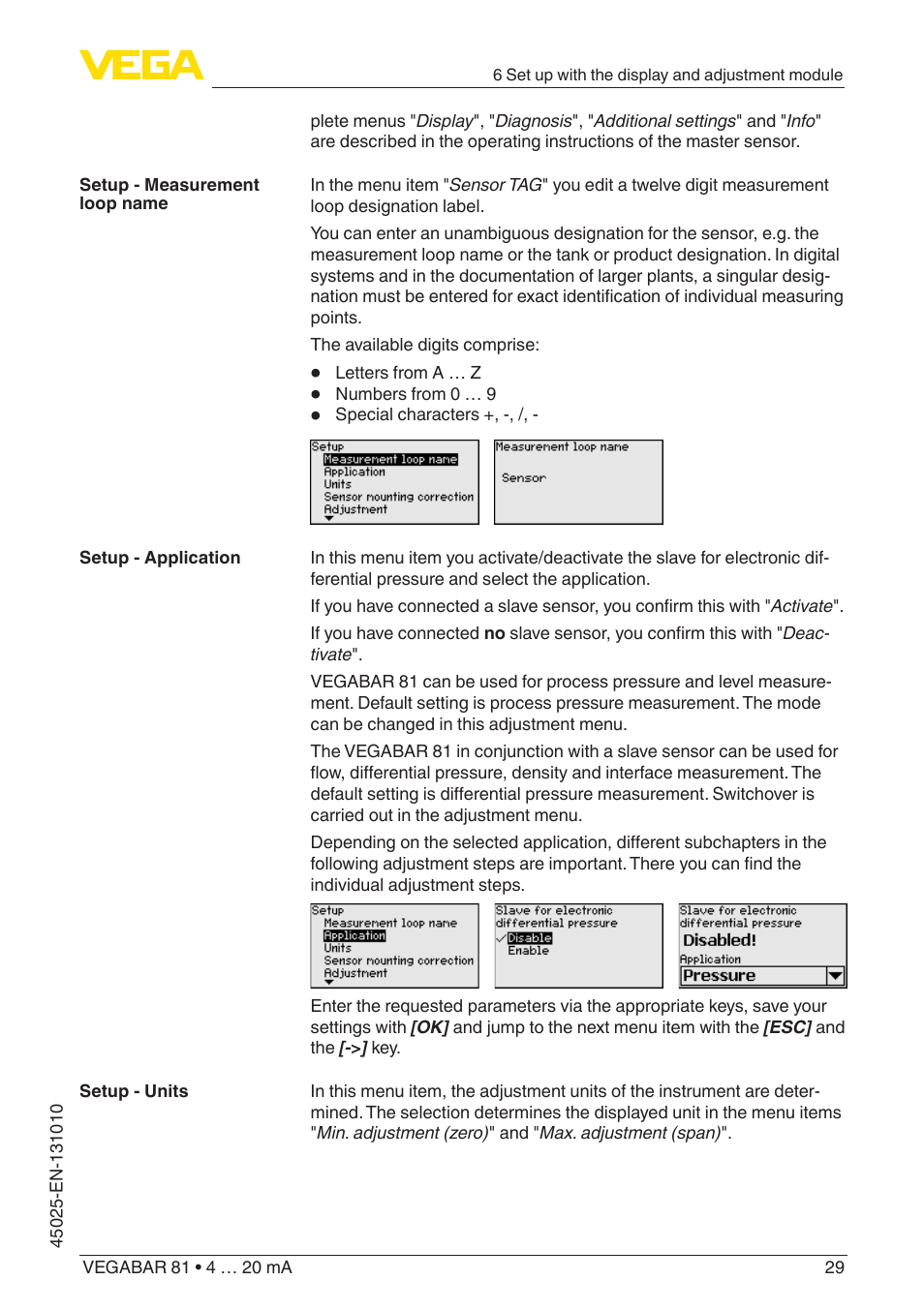 VEGA VEGABAR 81 4 … 20 mA - Operating Instructions User Manual | Page 29 / 76