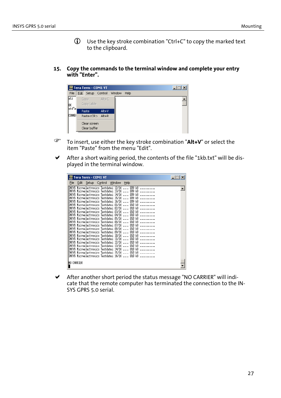 VEGA INSYS Modem GPRS 5.0 User Manual | Page 27 / 113