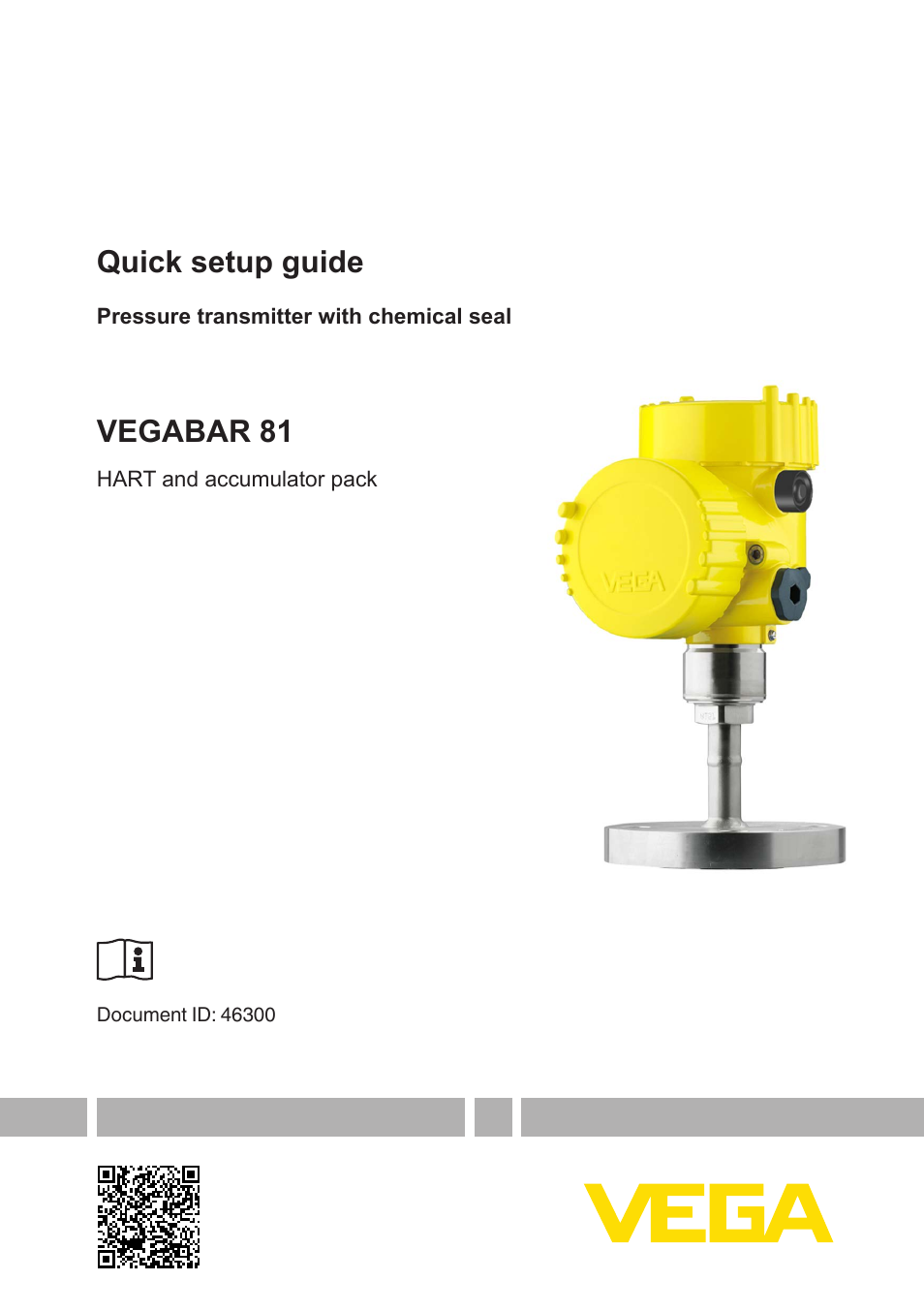 VEGA VEGABAR 81 HART and accumulator pack - Quick setup guide User Manual | 20 pages