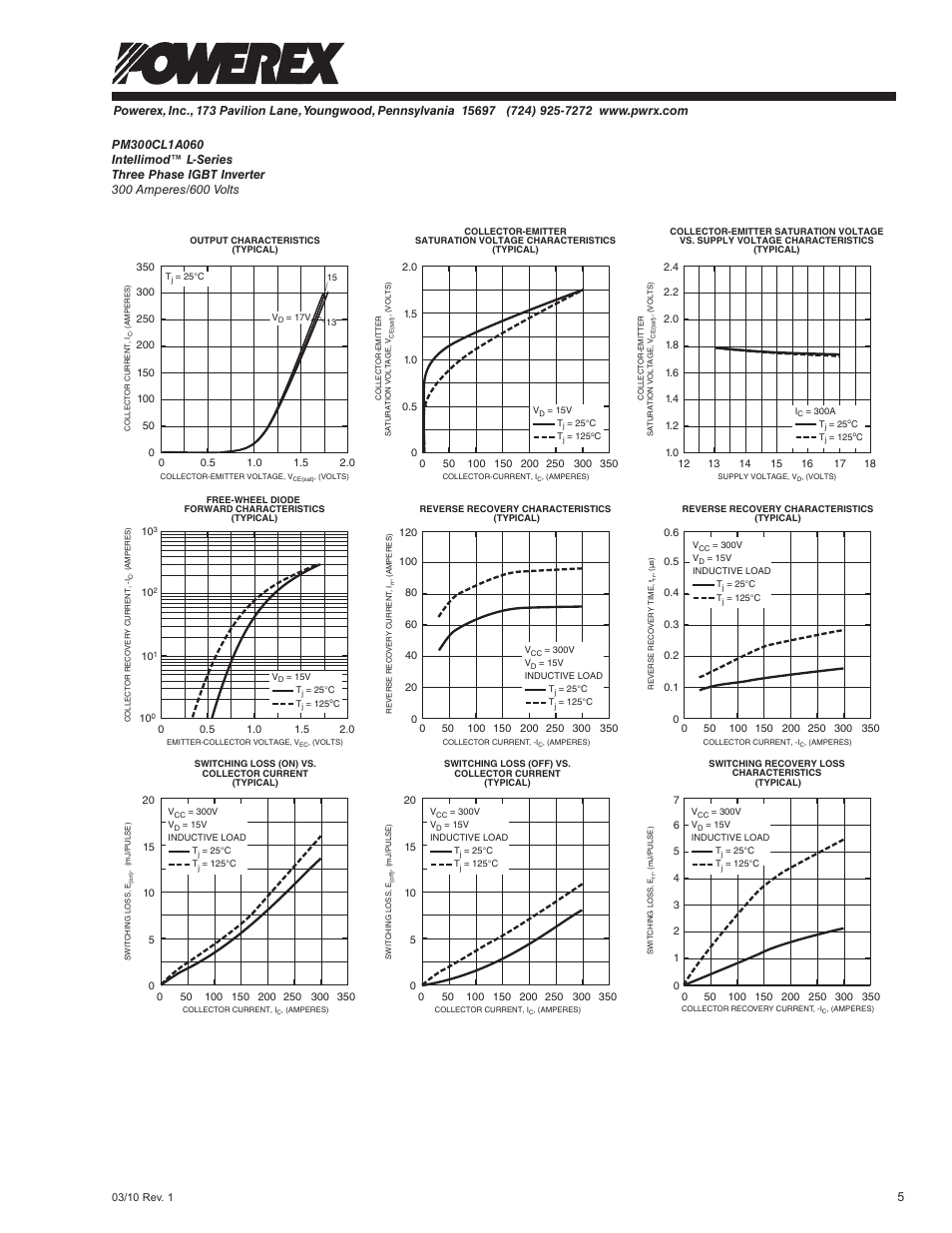 C&H Technology PM300CL1A060 User Manual | Page 6 / 7