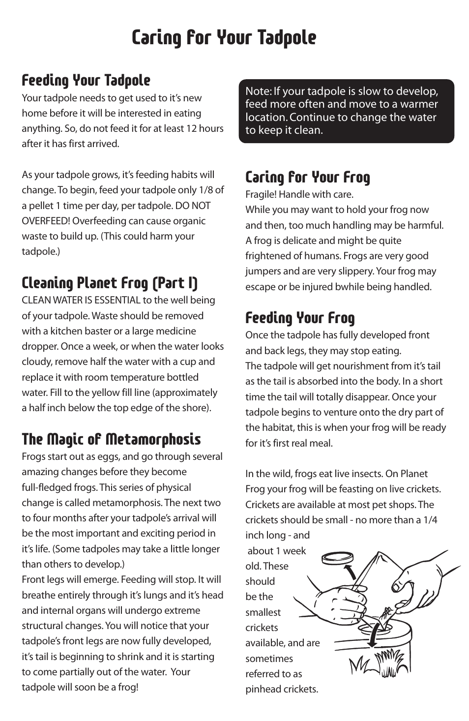 Caring for your tadpole, Caring for your frog, Feeding your frog | Feeding your tadpole, Cleaning planet frog (part i), The magic of metamorphosis | Uncle Milton Planet Frog User Manual | Page 4 / 8