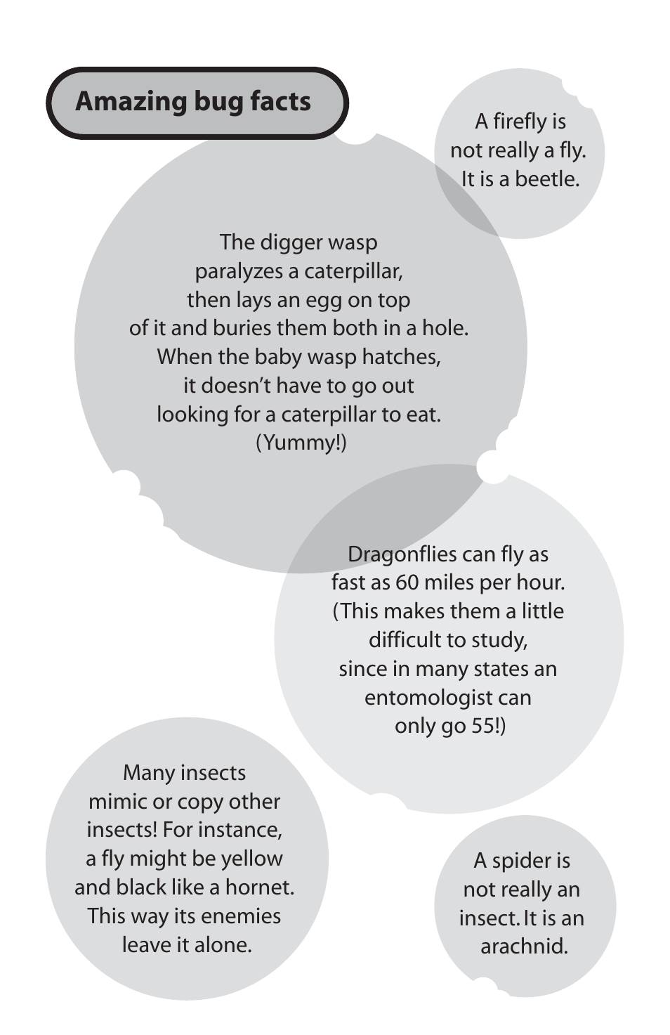 Amazing bug facts | Uncle Milton Bug Jug User Manual | Page 3 / 10