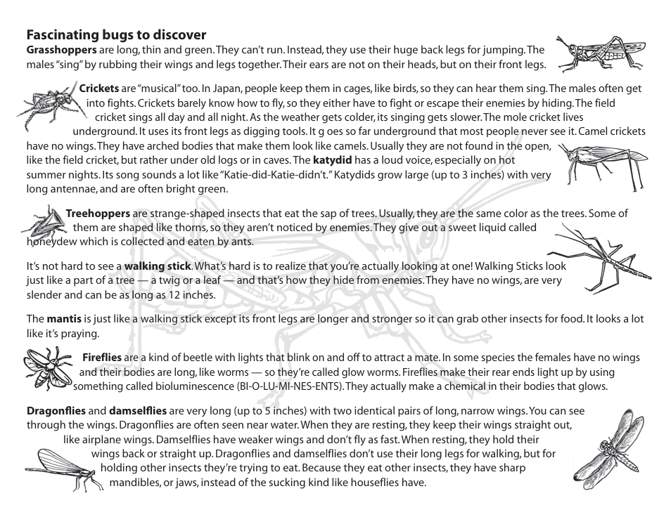 Fascinating bugs to discover | Uncle Milton Bug Jug User Manual | Page 8 / 10