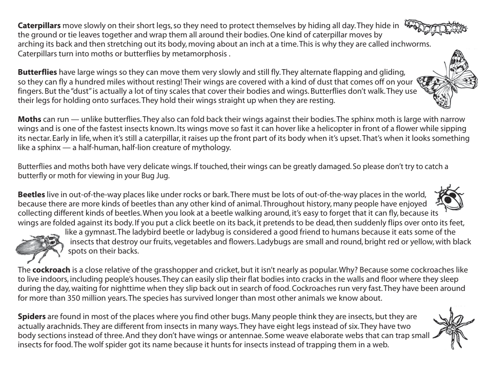Uncle Milton Bug Jug User Manual | Page 9 / 10
