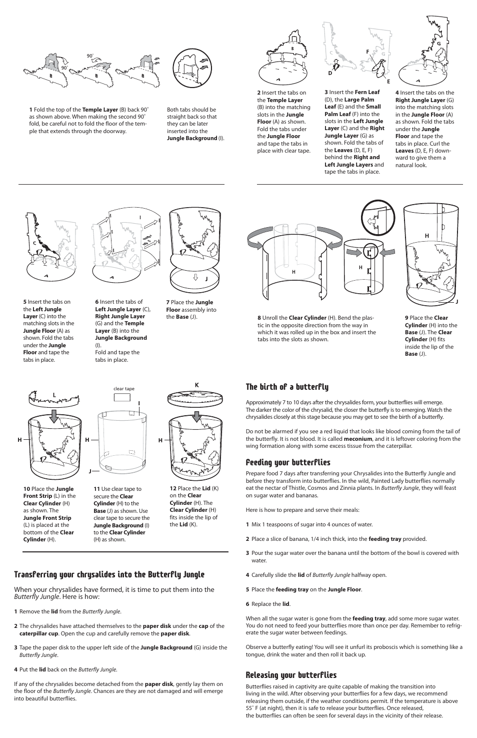 The birth of a butterfly, Feeding your butterflies, Releasing your butterflies | Uncle Milton Butterfly Jungle User Manual | Page 2 / 2
