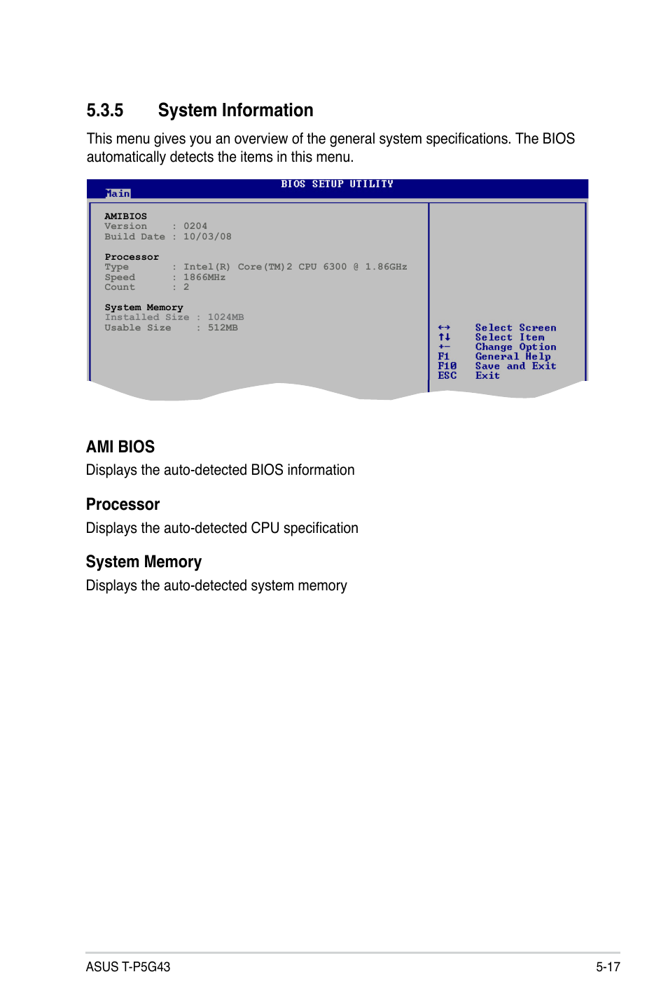 5 system information, System information -17, Ami bios | Processor | Asus T3-P5G43 User Manual | Page 79 / 104