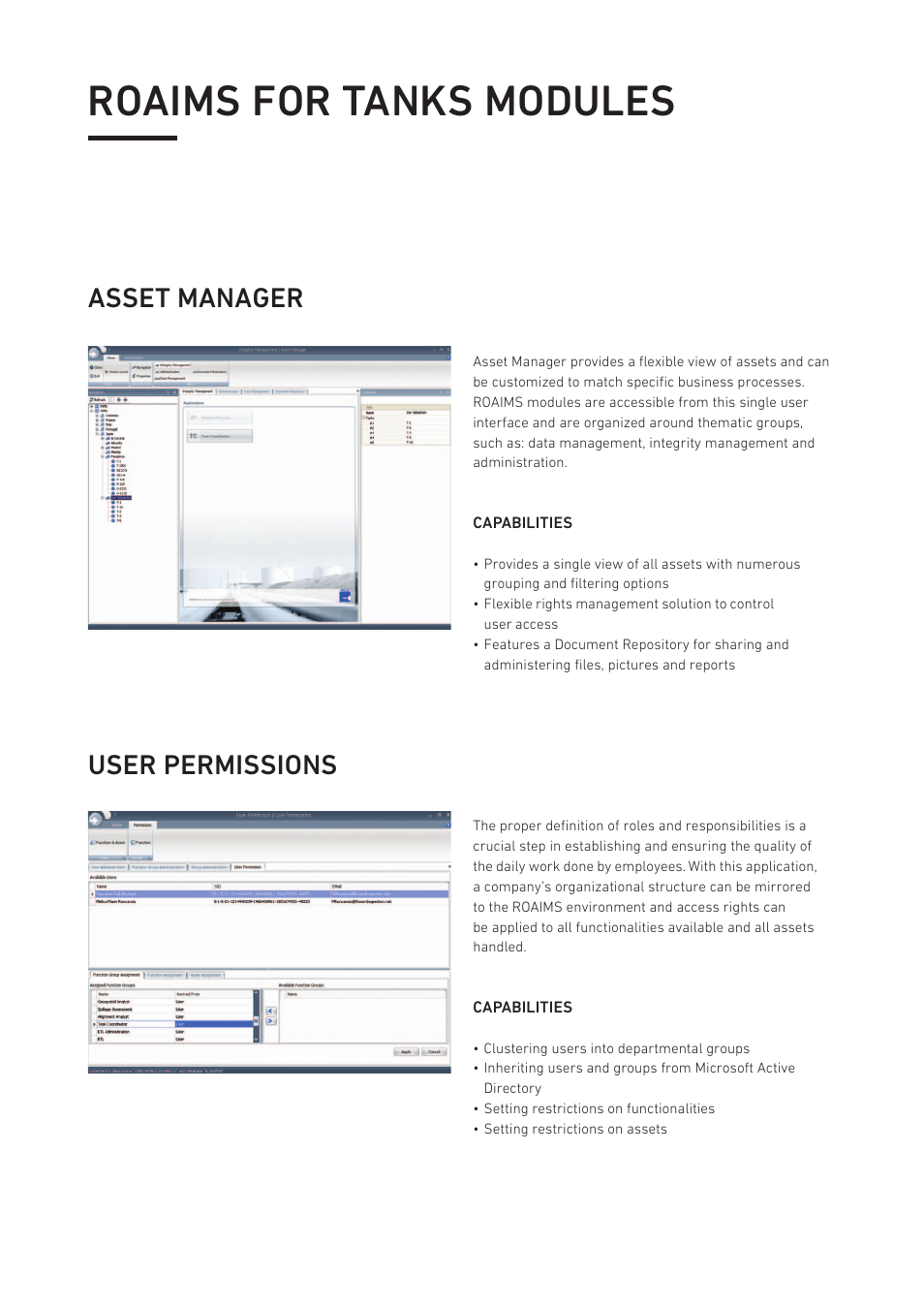 Roaims for tanks modules, Asset manager user permissions | Rosen ROAIMS for Plants & Terminals User Manual | Page 3 / 8