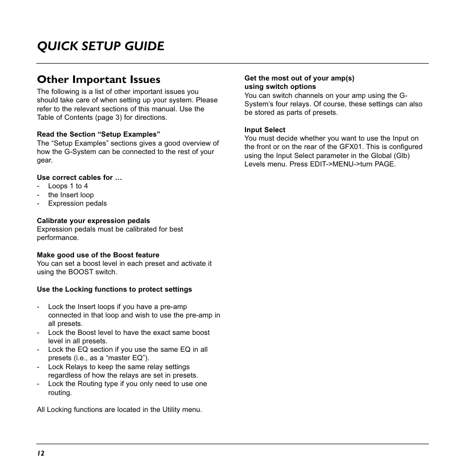 Quick setup guide, Other important issues | TC Electronic G-System User Manual | Page 14 / 81