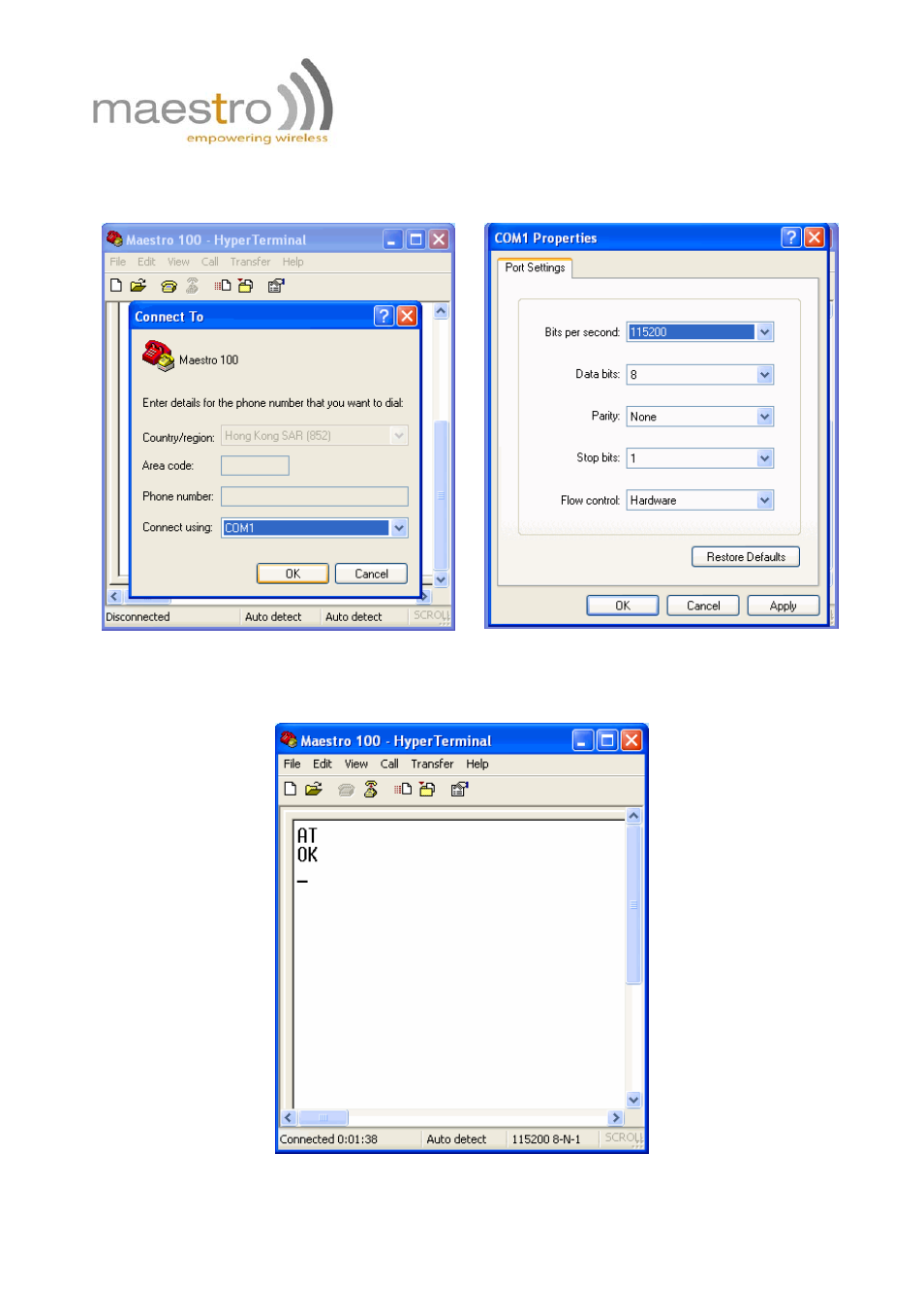 Rainbow Electronics FARGO MAESTRO 100 (with TCP_IP) User Manual | Page 12 / 16