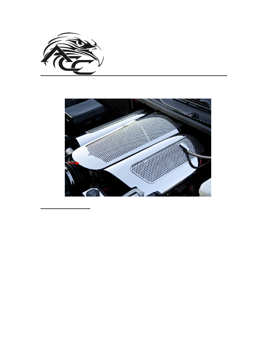 American Car Craft Corvette Plenum Cover Perforated Low Profile 2006-2013 Z06 only User Manual | 2 pages