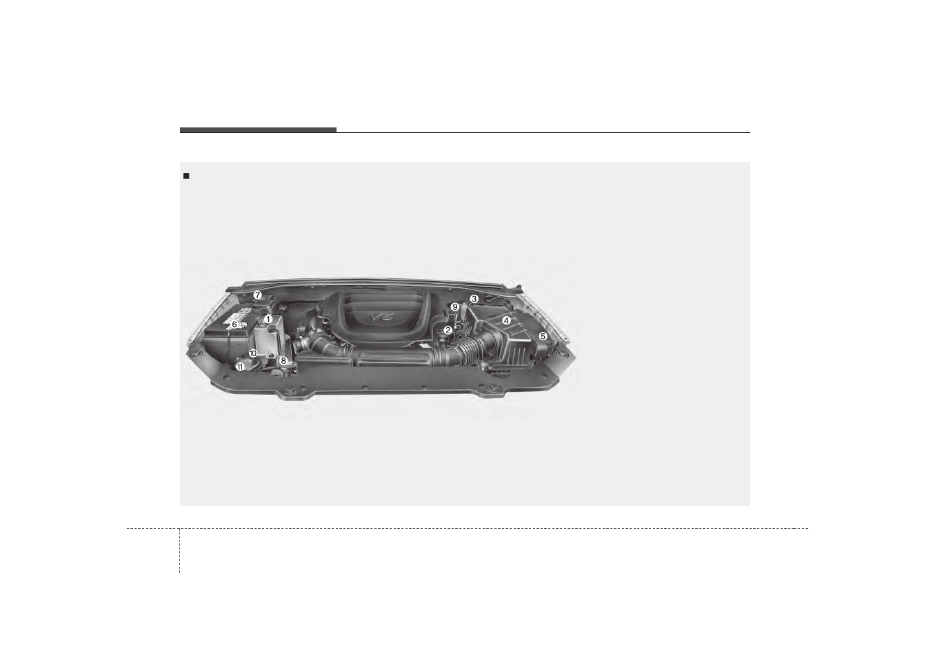 Maintenance, Engine compartment | KIA Borrego 2008 User Manual | Page 355 / 425