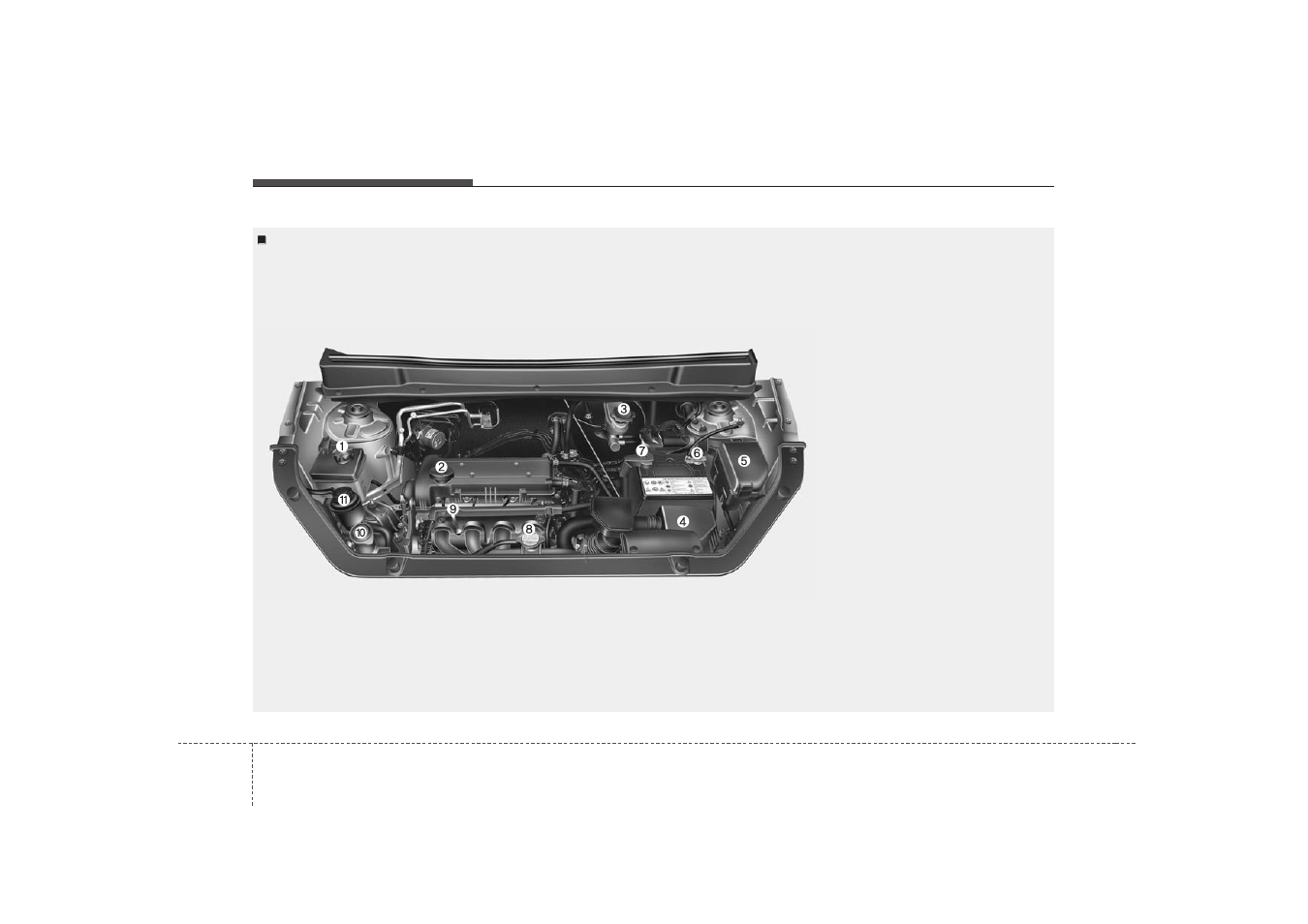 Maintenance, Engine compartment | KIA Soul 2010 User Manual | Page 245 / 314