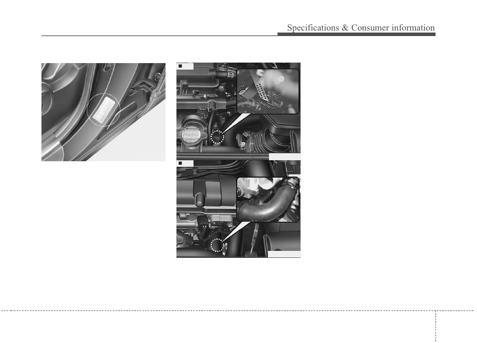 Specifications & consumer information, Engine number, Tire specification and pressure label | KIA Soul 2011 User Manual | Page 347 / 356