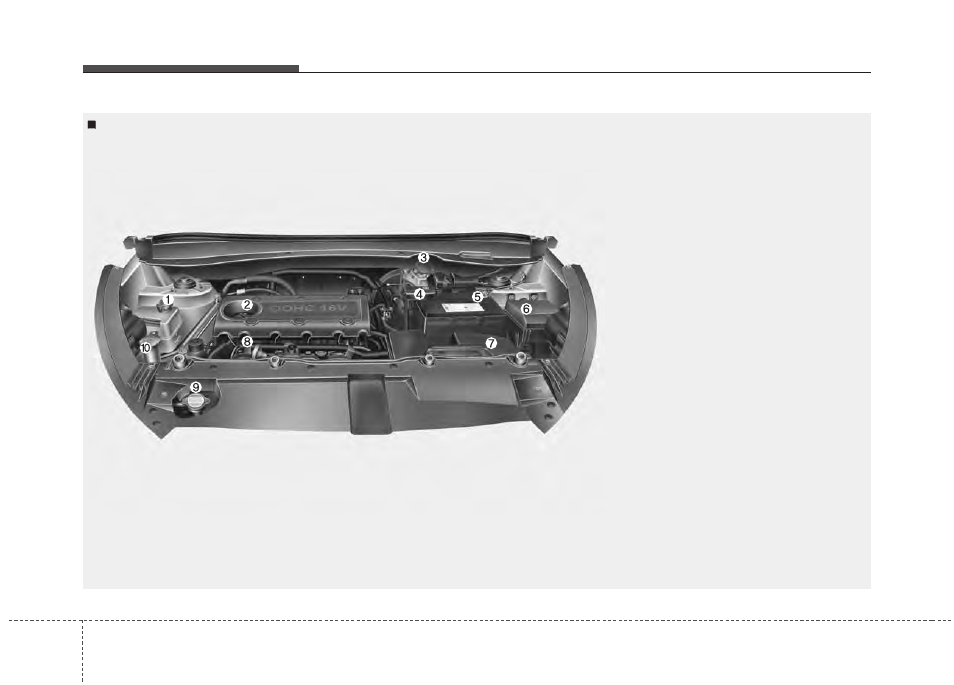 Maintenance, Engine compartment | KIA Sportage 2011 User Manual | Page 311 / 385