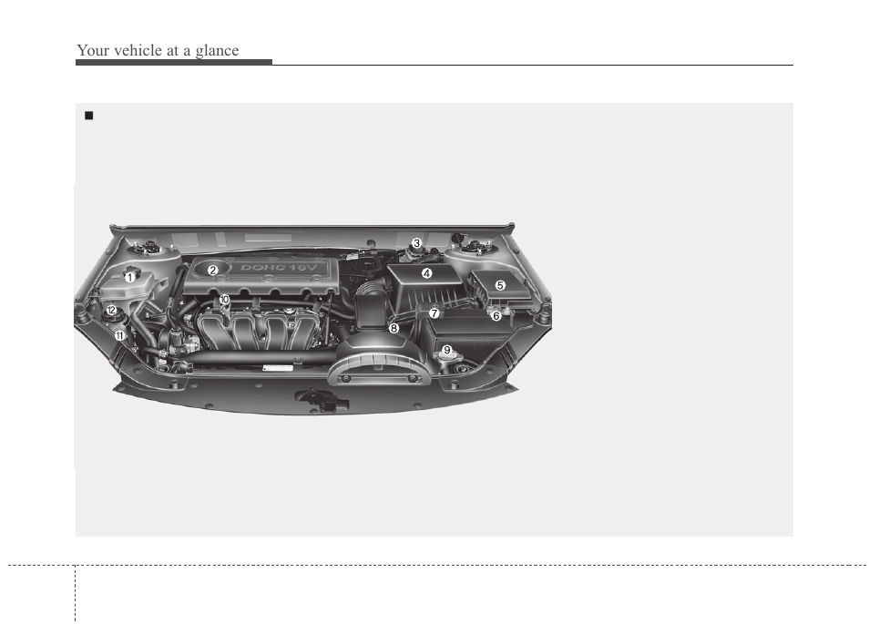 Your vehicle at a glance, Engine compartment | KIA Magentis 2010 User Manual | Page 13 / 336