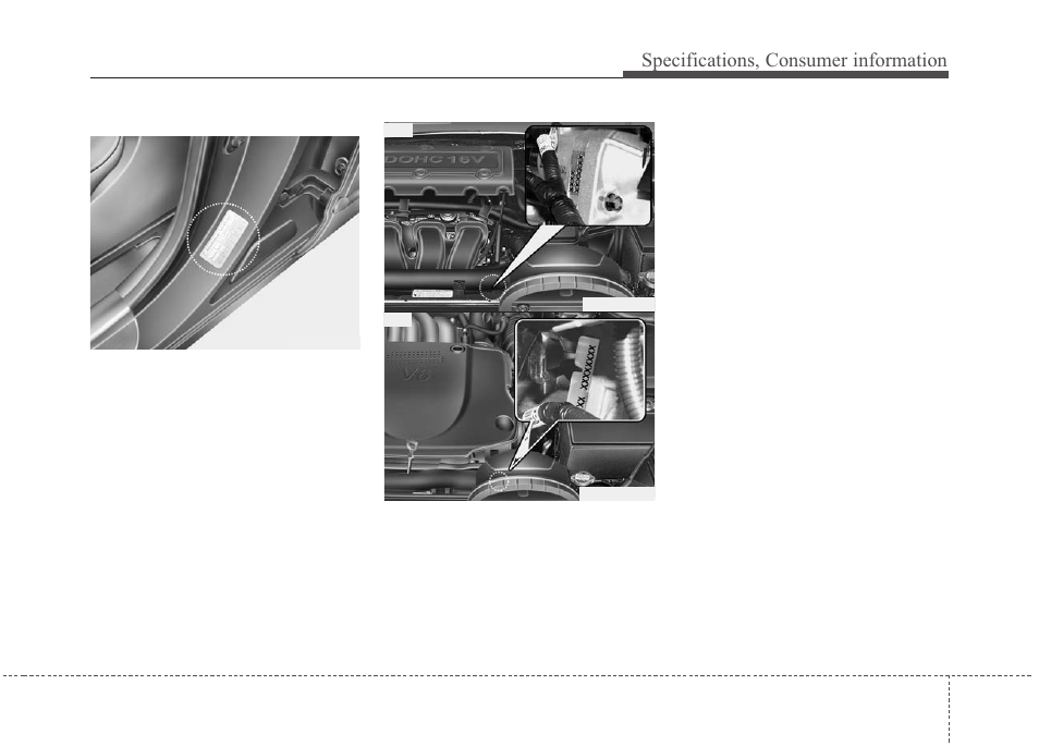 Specifications, consumer information, Engine number, Tire specification and pressure label | KIA Magentis 2010 User Manual | Page 332 / 336