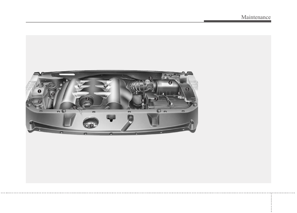 Maintenance | KIA Sedona 2010 User Manual | Page 315 / 360