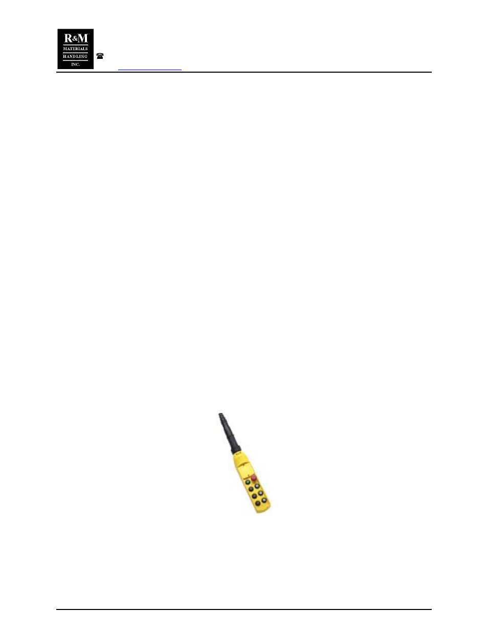 Use bridge control transformer for all motions | R&M Materials Handling CHAIN HOIST PACKAGES User Manual | Page 4 / 30