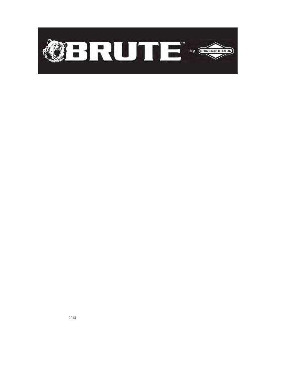 Not for reproduction | Brute 2200 PSI Pressure Washer User Manual | Page 8 / 8