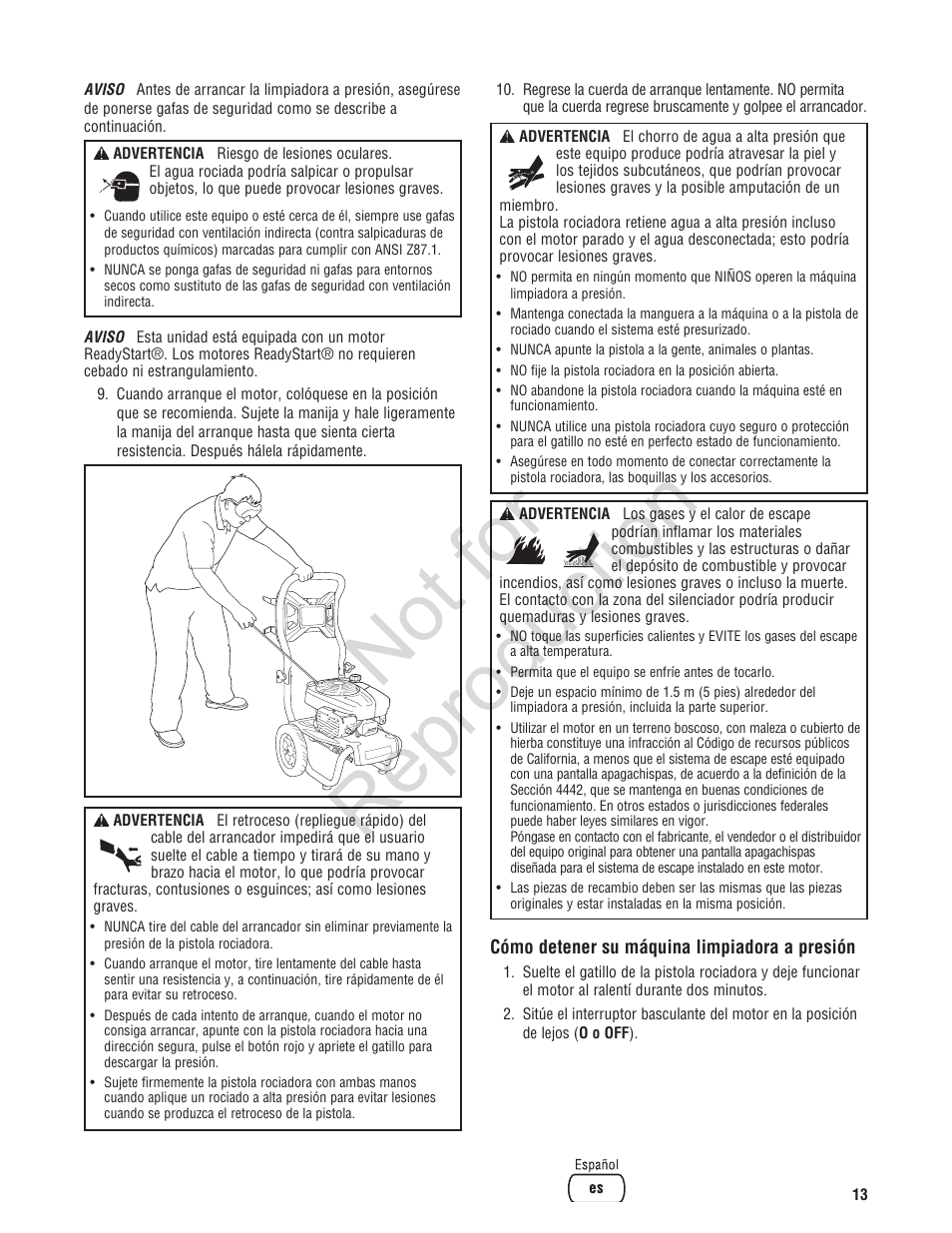 Not for reproduction | Brute 2800 PSI Pressure Washer User Manual | Page 41 / 56
