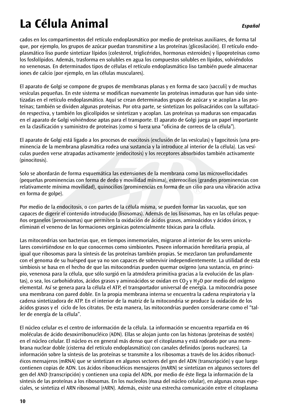 La célula animal | 3B Scientific Animal cell model User Manual | Page 10 / 36