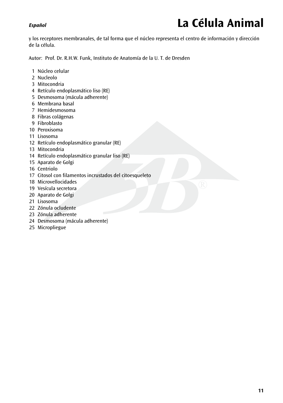 La célula animal | 3B Scientific Animal cell model User Manual | Page 11 / 36