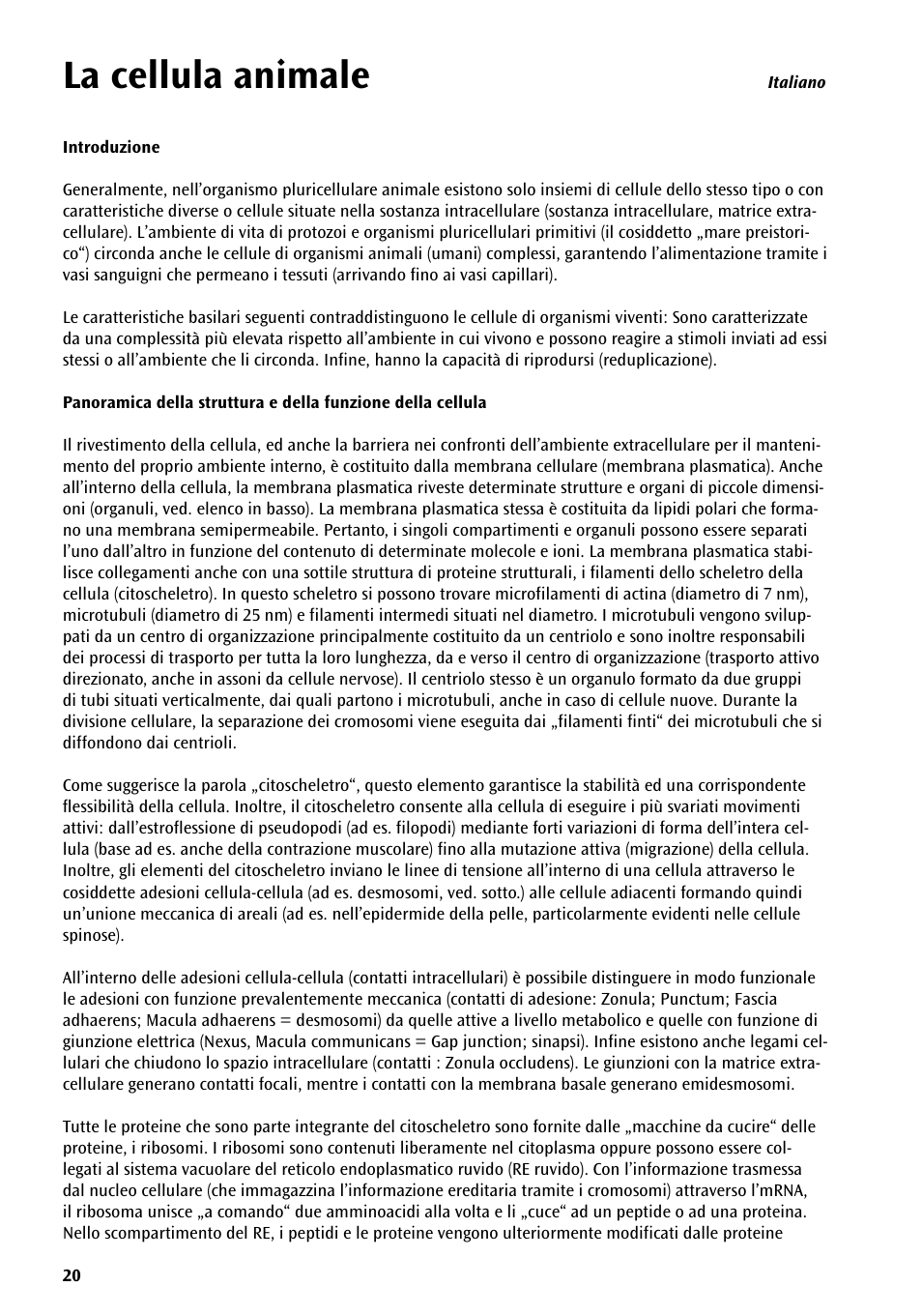 La cellula animale | 3B Scientific Animal cell model User Manual | Page 20 / 36