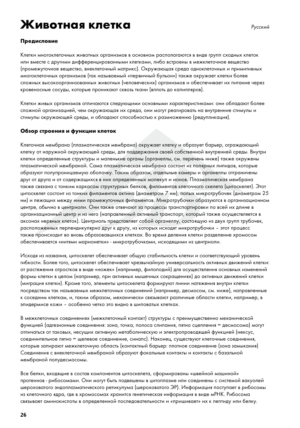 Животная клетка | 3B Scientific Animal cell model User Manual | Page 26 / 36