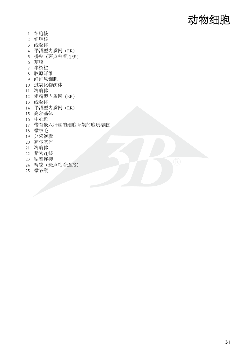动物细胞 | 3B Scientific Animal cell model User Manual | Page 31 / 36