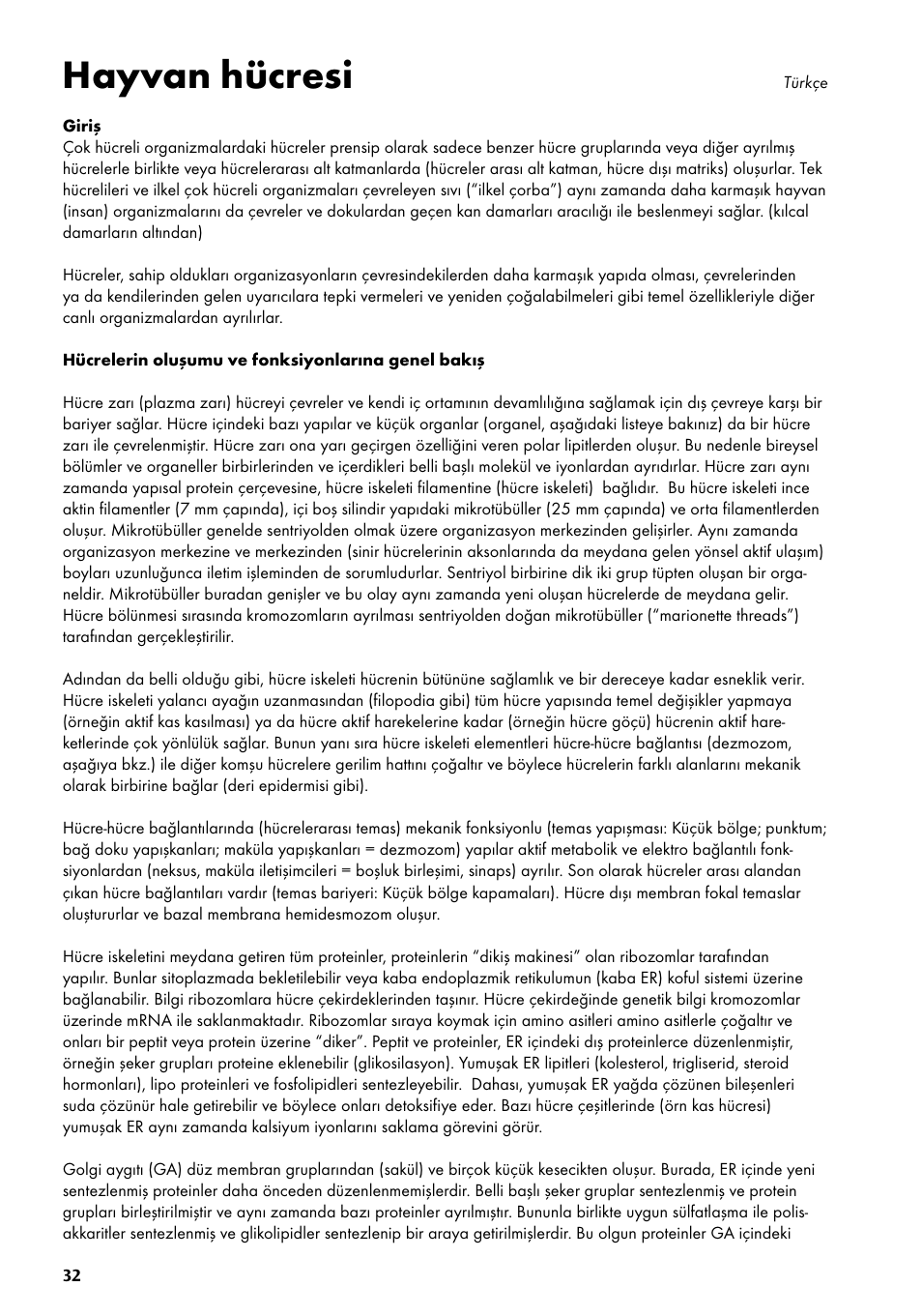 Hayvan hücresi | 3B Scientific Animal cell model User Manual | Page 32 / 36